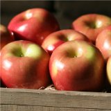 Apple for inflammation
