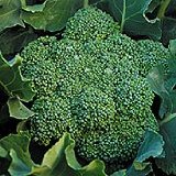 Broccoli for health and wellness