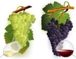 Grapes for nutrition and wellness