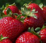 Raspberries with antioxidant for wellness